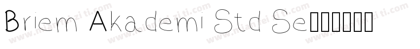Briem Akademi Std Se字体转换